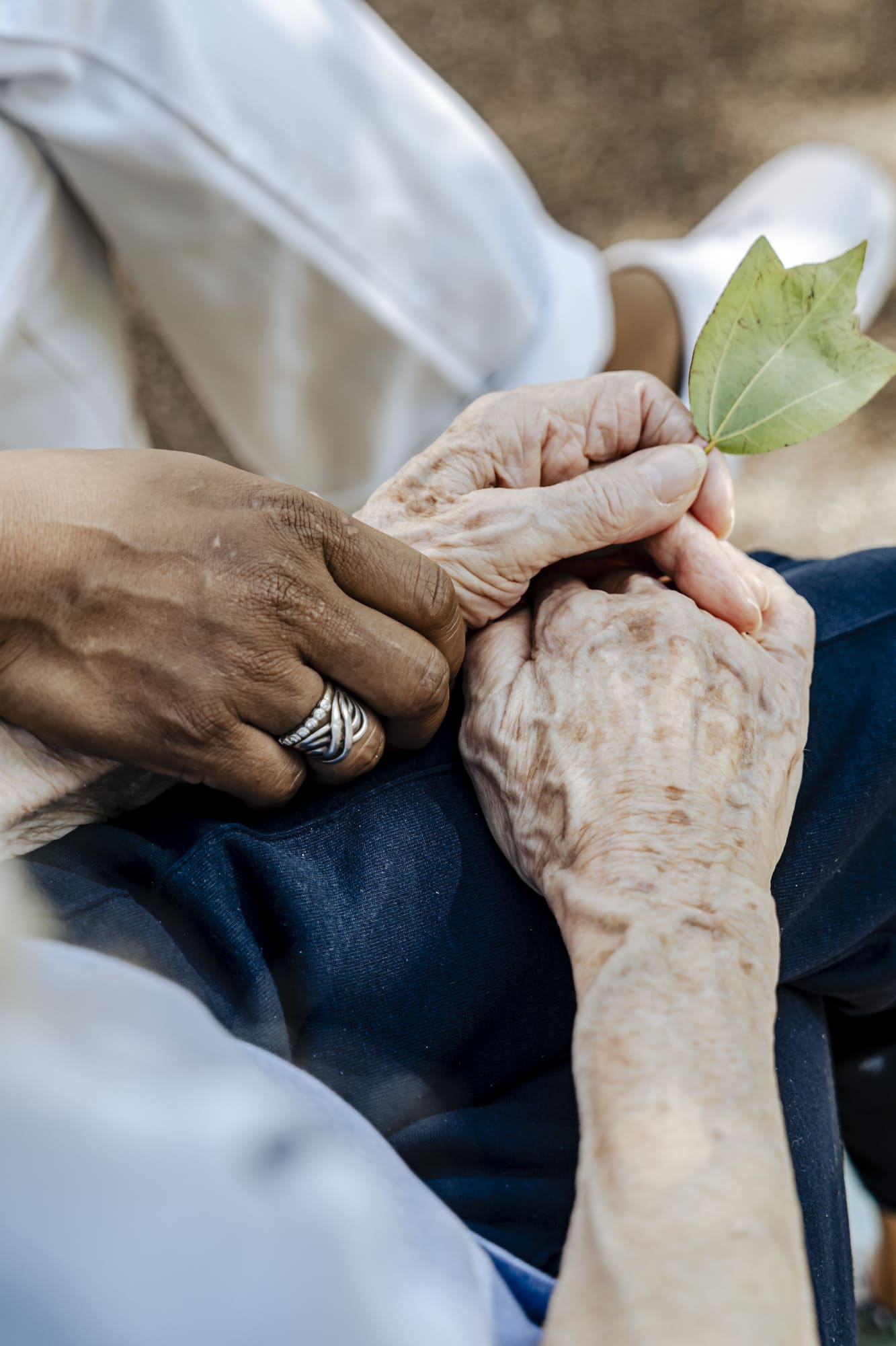 Oihana | Services complémentaires